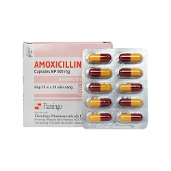 Thuốc kháng sinh AMOXICILLIN 500mg - Flamigo India Thuốc kháng sinh AMOXICILLIN 500mg - Flamigo India
