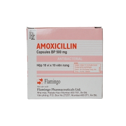 Thuốc kháng sinh AMOXICILLIN 500mg - Flamigo India Thuốc kháng sinh AMOXICILLIN 500mg - Flamigo India