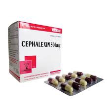 Thuốc kháng sinh Cophavina Cephalexin 500mg, Hộp 100 viên Thuốc kháng sinh Cophavina Cephalexin 500mg, Hộp 100 viên