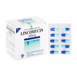 Lincomycin 500mg Vidipha 10 vỉ x 10 viên