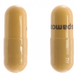 Ospamox 250mg Sandoz 10 vỉ x 10 viên – Điều trị nhiễm trùng, đường hô hấp Ospamox 250mg Sandoz 10 vỉ x 10 viên – Điều trị nhiễm trùng, đường hô hấp