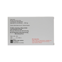 Thuốc kháng sinh Micro TERLEV 500mg, Levofloxacin 500mg