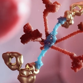 Thuốc Narsoplimab (Yartemlea): Bước đột phá trong điều trị biến chứng ghép tế bào gốc TA-TMA