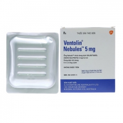 Ventolin Nebules 5mg GSK 6 vỉ x 5 ống 2.5ml (Salbutamol sulfate)