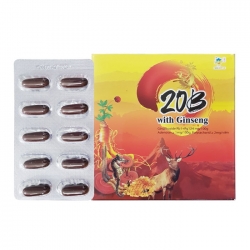 Tpbvsk 20B With Ginseng giúp bồ bổ sức khỏe, ăn ngon miệng, tăng cường miễn dịch