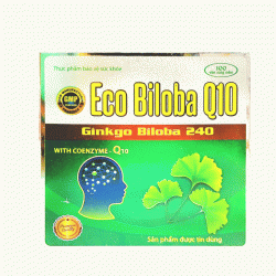 Tpbvsk tuần hoàn não Eco Biloba Q10, Hộp 100 viên