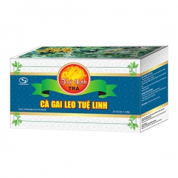 Trà túi cà gai leo tuệ linh, 20 gói