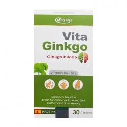 Tuần hoàn máu não Vita Ginkgo Vita Life 2 vỉ x 15 viên Tuần hoàn máu não Vita Ginkgo Vita Life 2 vỉ x 15 viên