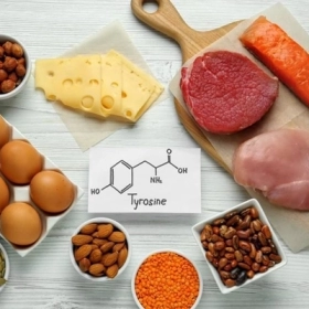 Tyrosine Là Gì? Công Dụng Và Vai Trò Đối Với Cơ Thể