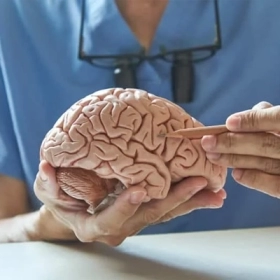 U Nguyên Bào Thần Kinh Đệm Là Gì? Nguyên Nhân, Triệu Chứng Và Điều Trị