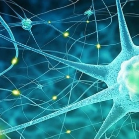 U xơ thần kinh: Nguyên nhân, triệu chứng và cách điều trị hiệu quả