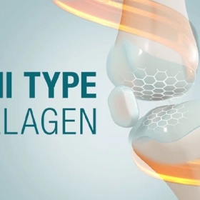 UC-II Là Gì? Tác Dụng, Liều Dùng Và Những Điều Cần Biết