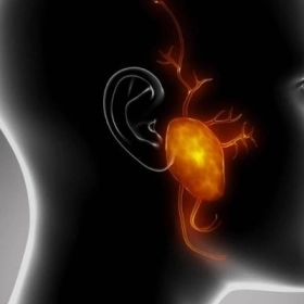 Ung Thư Tuyến Nước Bọt Là Gì? Nguyên Nhân, Dấu Hiệu Và Cách Điều Trị