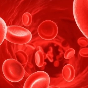 Uống Gì Để Lưu Thông Máu Huyết Tốt Hơn? 10 Loại Nước Nên Dùng Mỗi Ngày