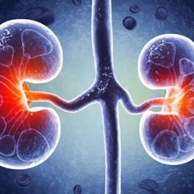 Uống Nước Gì Tốt Cho Thận? Bí Quyết Bảo Vệ Thận Khỏe Mạnh