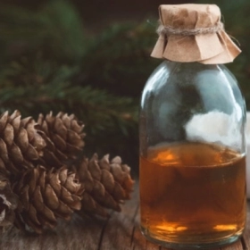 Uống Tinh Dầu Thông Đỏ Có Giảm Cân Không? Điều Bạn Nên Biết