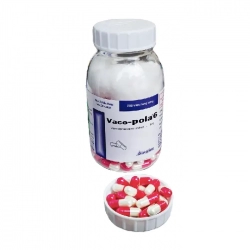 Vaco pola 6 Vacopharm 200 viên - Thuốc trị viêm mũi dị ứng Vaco pola 6 Vacopharm 200 viên - Thuốc trị viêm mũi dị ứng