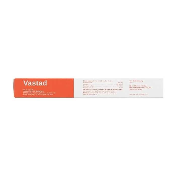 Vastad Stellapharm 1 vỉ x 10 viên Vastad Stellapharm 1 vỉ x 10 viên