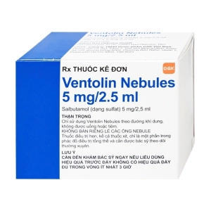 Ventolin Nebules 5mg GSK 4 vỉ x 5 ống 2.5ml (Salbutamol sulfate)