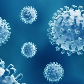 Viêm Gan B Lây Qua Đường Nào? Những Con Đường Lây Nhiễm Phổ Biến