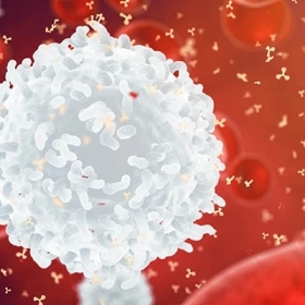 Viêm Khớp Tự Miễn: Nguyên Nhân, Triệu Chứng Và Cách Kiểm Soát