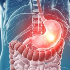 Viêm Loét Dạ Dày Là Gì? Nguyên Nhân Và Dấu Hiệu Nhận Biết