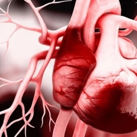 Viêm Màng Ngoài Tim: Nguyên Nhân, Triệu Chứng Và Cách Điều Trị Hiệu Quả