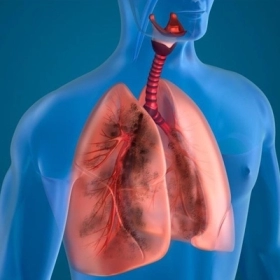 Viêm Phổi Do Mycoplasma Có Cần Kháng Sinh Không?