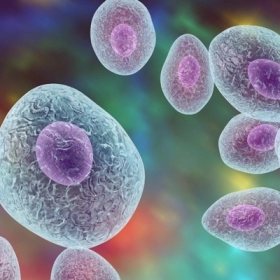 Viêm Phổi Pneumocystis Jirovecii Là Gì? Dấu Hiệu Nhận Biết Sớm