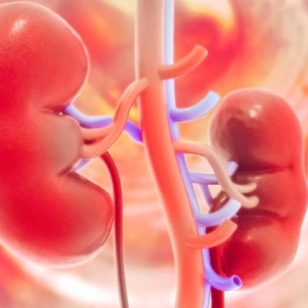 Viêm thận kẽ: Nguyên nhân, triệu chứng và các phương pháp điều trị