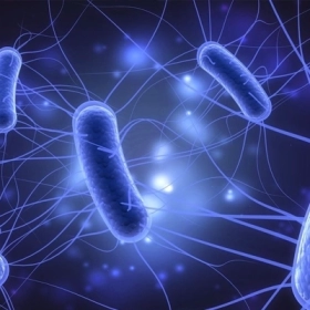 Viêm tuyến tiền liệt: Nguyên nhân, dấu hiệu và phác đồ điều trị 