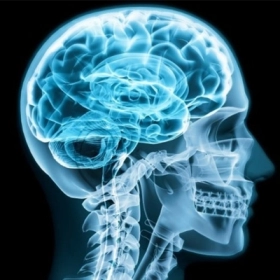 Viêm Xương Sọ: Nguyên Nhân, Triệu Chứng Và Cách Điều Trị
