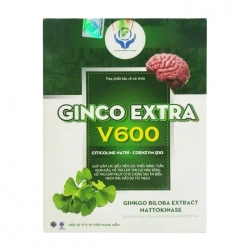 Ginco Extra V600 Tradiphar 10 vỉ x 10 viên Ginco Extra V600 Tradiphar 10 vỉ x 10 viên
