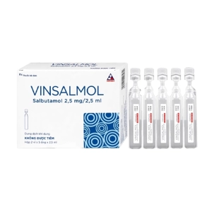 Vinsalmol 2.5mg/2.5ml Vinphaco 2 vỉ x 5 ống (Salbutamol)