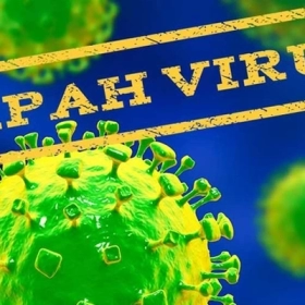 Virus Nipah (NiV) là gì? Nguy cơ đại dịch và cập nhật mới nhất 2026