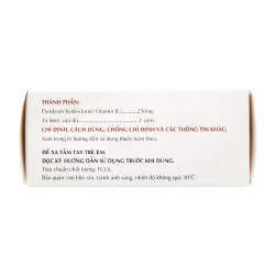 Vitamin B6 250mg Mekophar 10 vỉ x 10 viên - Điều trị thiếu máu, ngừa co giật Vitamin B6 250mg Mekophar 10 vỉ x 10 viên - Điều trị thiếu máu, ngừa co giật