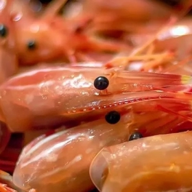 Vỏ Tôm Có Canxi Không? Bật Mí Sự Thật Khiến Nhiều Người Bất Ngờ!