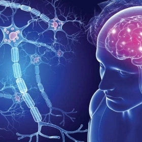 Xơ cứng rải rác là gì? Dấu hiệu, nguyên nhân và cách điều trị