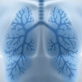 Xơ Phổi Sống Được Bao Lâu? Tiên Lượng Và Những Yếu Tố Quyết Định Tuổi Thọ